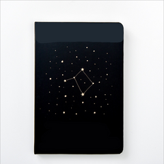 Vintage Zodiac Journal