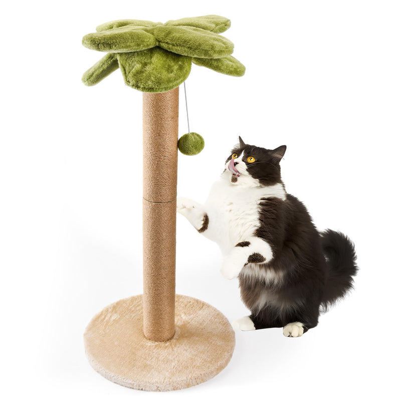 Cat Scratching Post