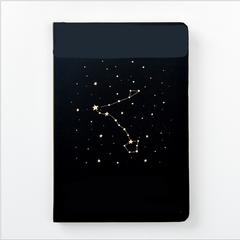 Vintage Zodiac Journal